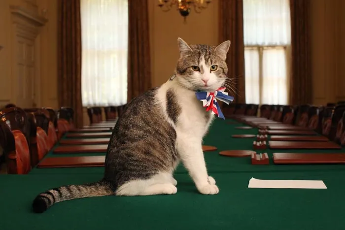 Larry, Chief Mouser to the Cabinet Office