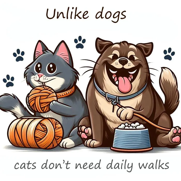 Cats Dont Need Daily Walks